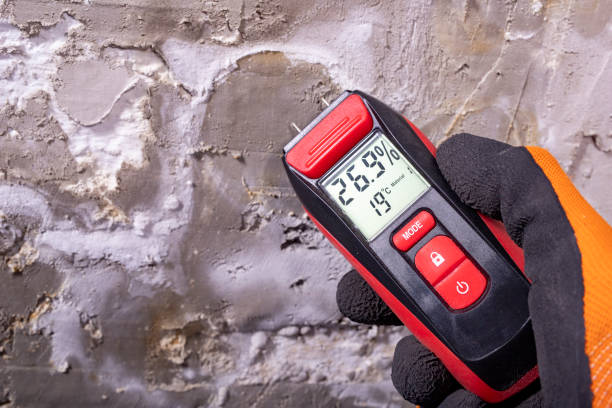 Best Mold Testing  in Moss Bluff, LA