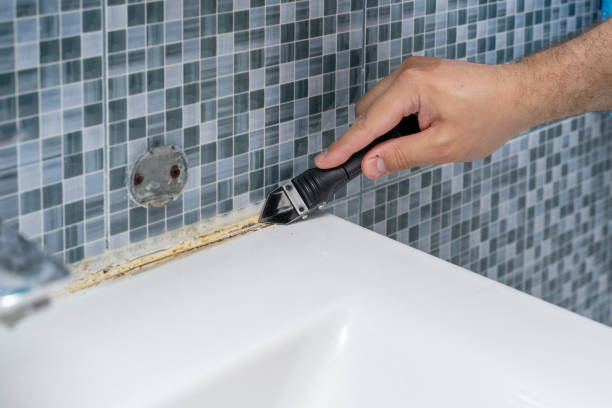 Best Same-Day Mold Removal  in Moss Bluff, LA